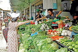 Phải báo cáo giá cả hằng ngày