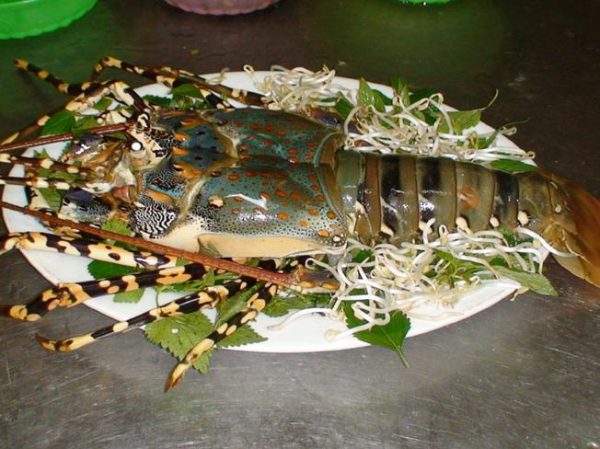 Vũng Tàu là địa điểm ăn món tiết canh tôm hùm ngon nhất