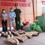 tin tức mới nhất trong ngày hôm nay